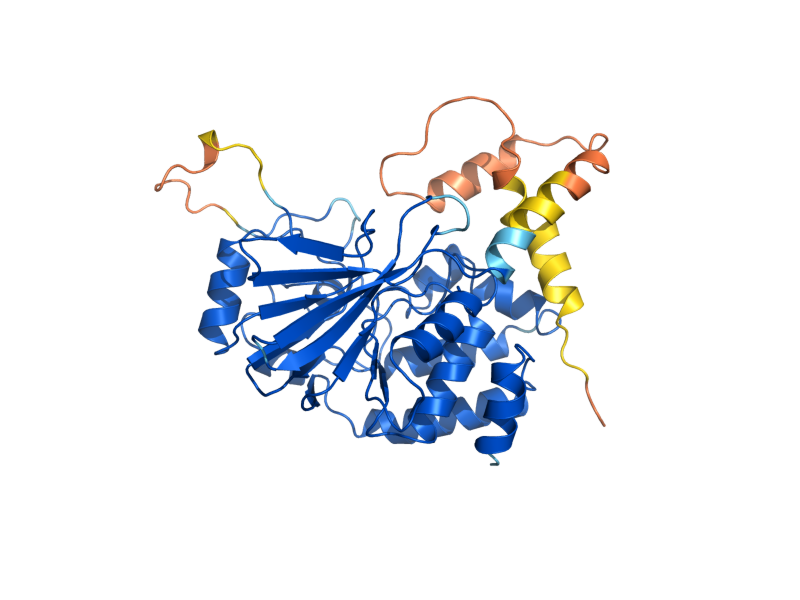 AlphaFold predicted structure of PPG1