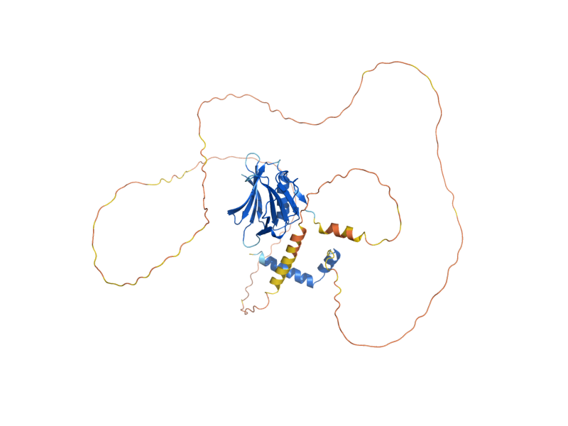 AlphaFold predicted structure of REC114