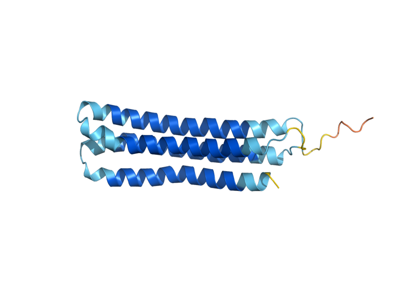 AlphaFold predicted structure of VMA11