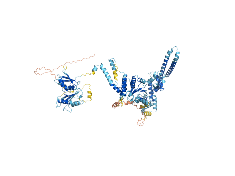 AlphaFold predicted structure of YME2