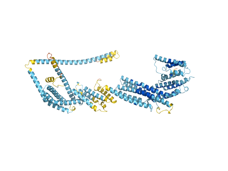 AlphaFold predicted structure of SEC6