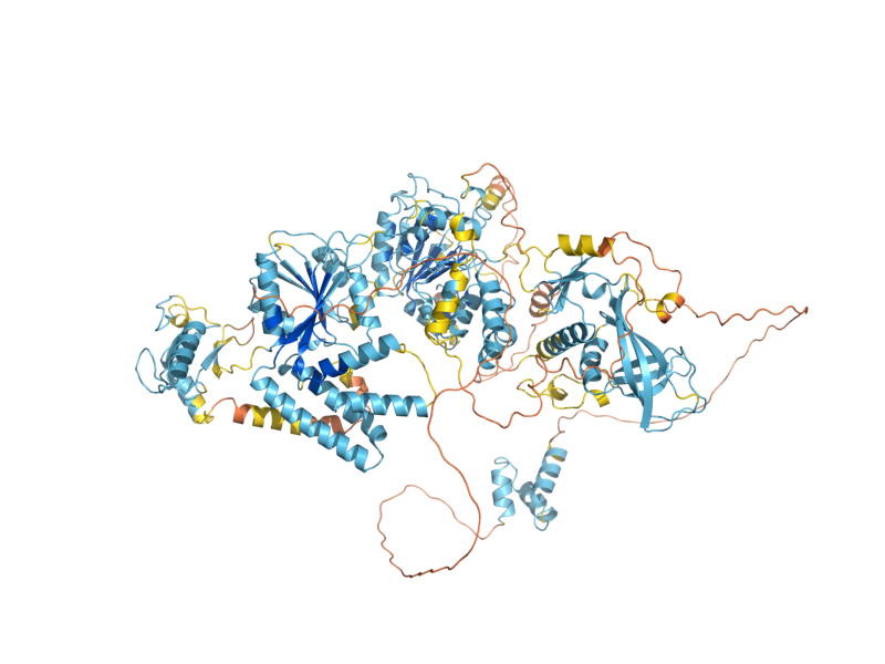 AlphaFold predicted structure of RAD5