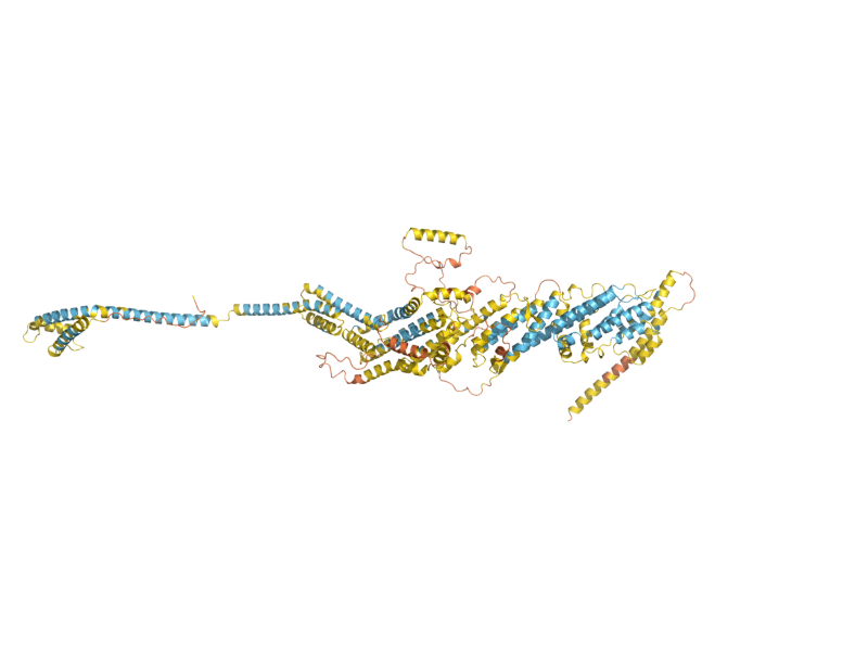 AlphaFold predicted structure of SEC8
