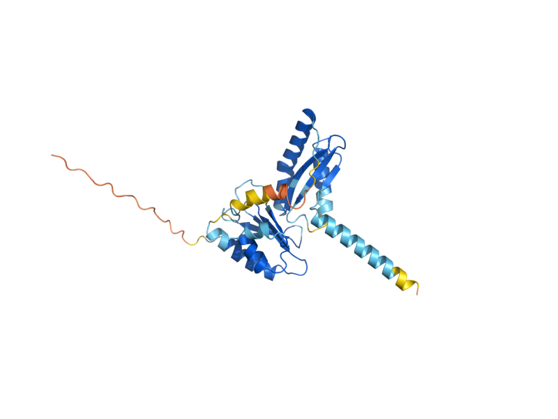 AlphaFold predicted structure of NFU1