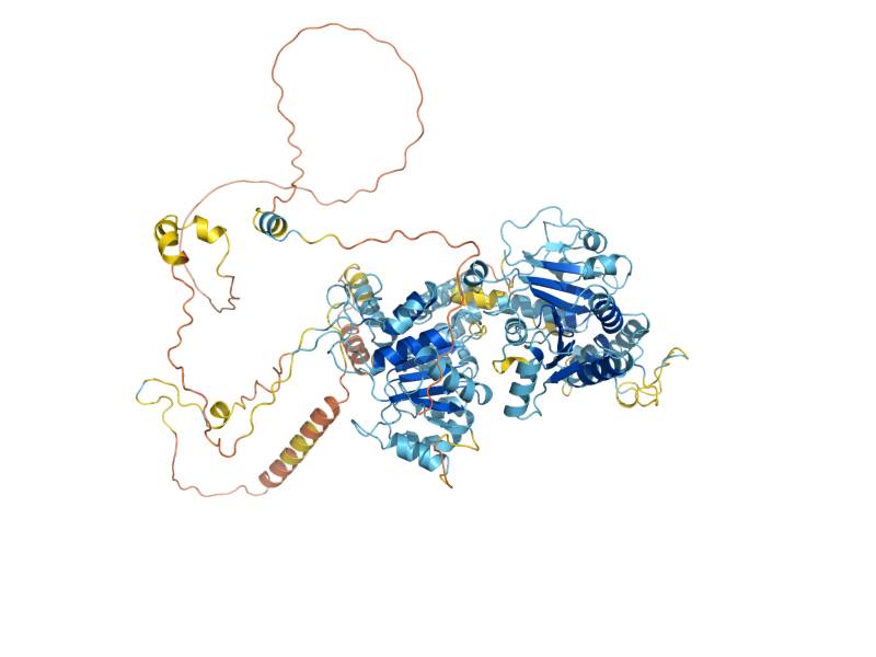 AlphaFold predicted structure of RAD54
