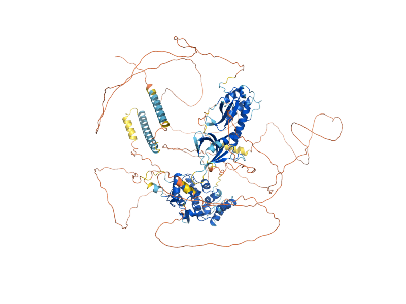 AlphaFold predicted structure of BEM3
