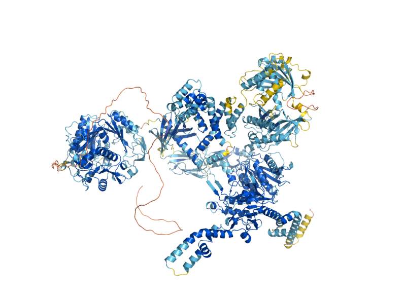 AlphaFold predicted structure of HFA1