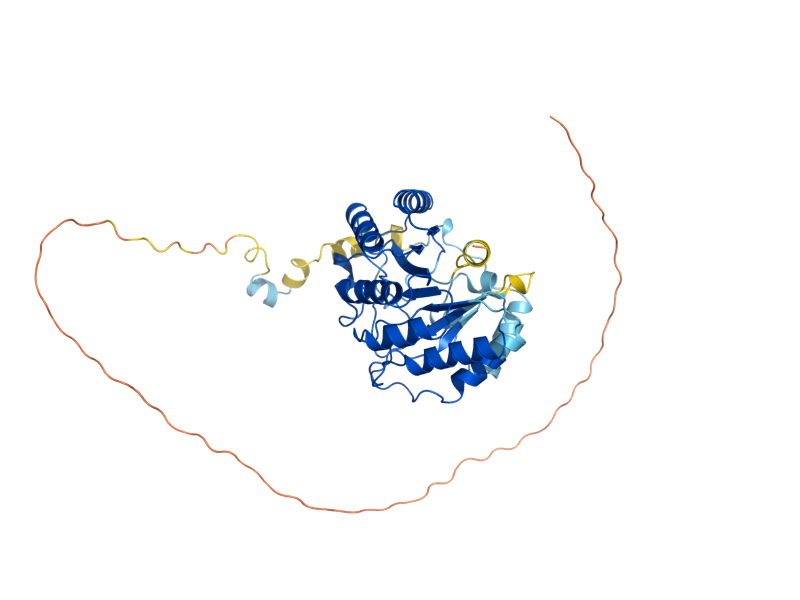 AlphaFold predicted structure of LIP5