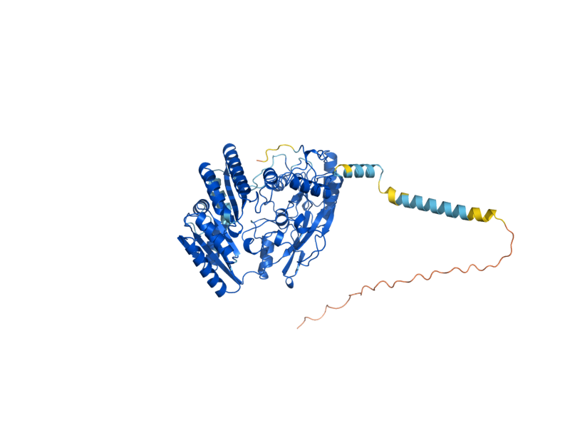 AlphaFold predicted structure of DLD1