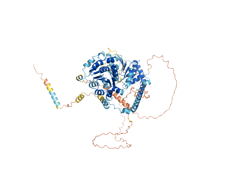 AlphaFold predicted structure of DRS1