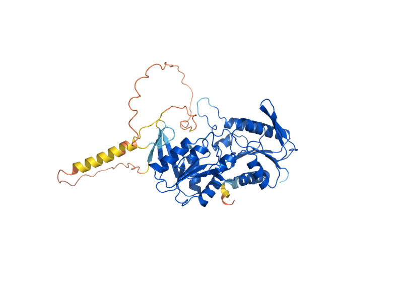 AlphaFold predicted structure of PRS1