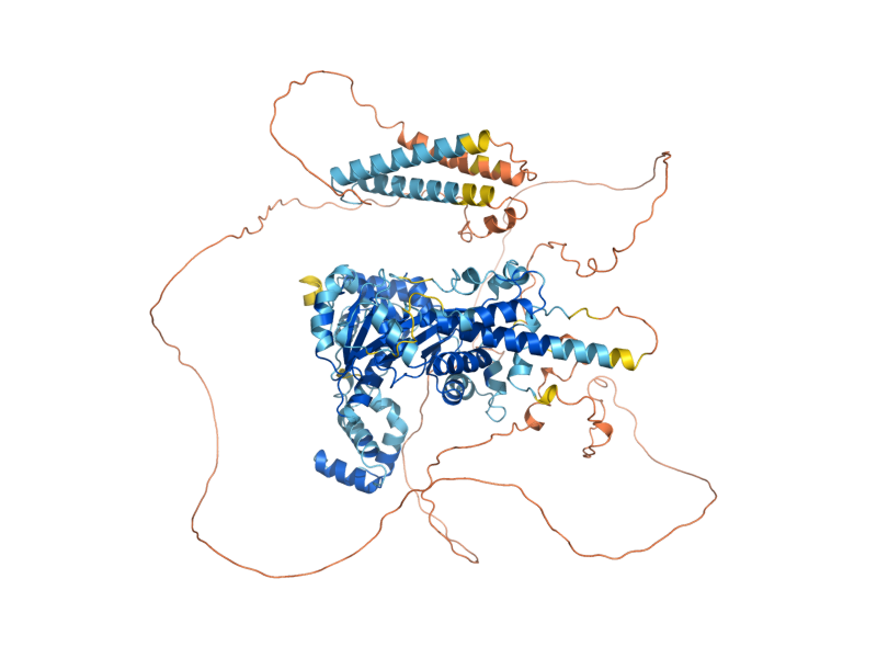 AlphaFold predicted structure of PDC2
