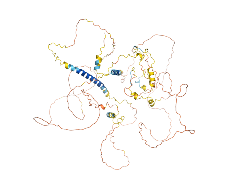 AlphaFold predicted structure of SKG6
