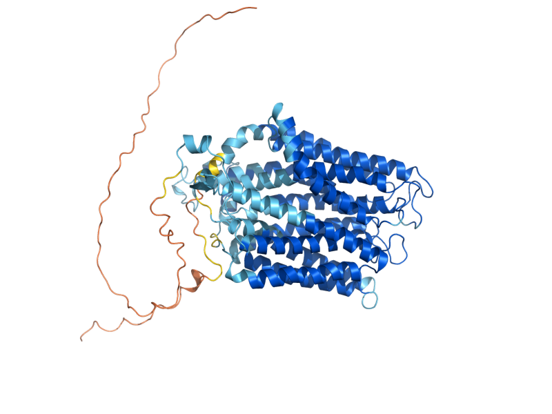 AlphaFold predicted structure of PTR2