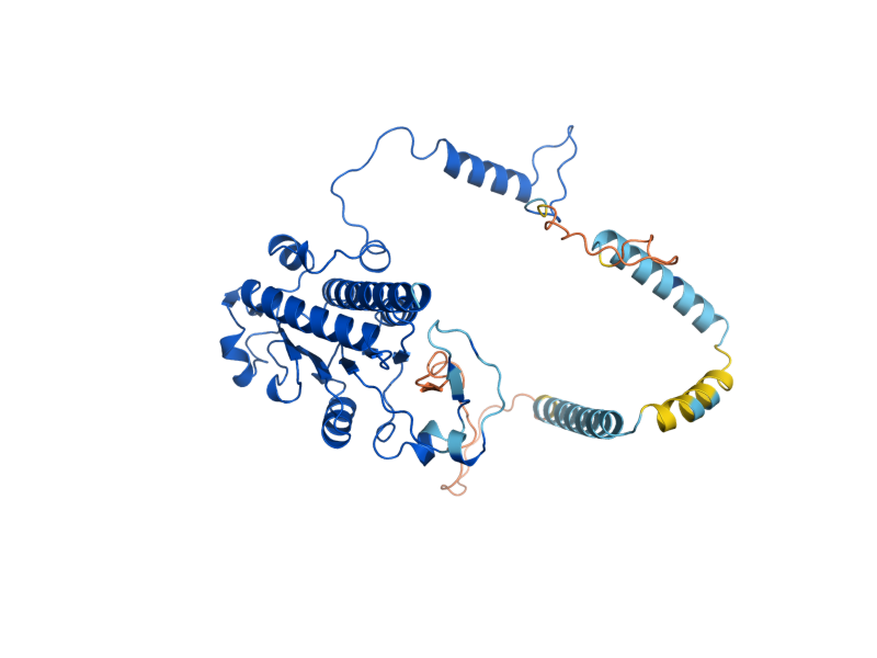 AlphaFold predicted structure of MRP4