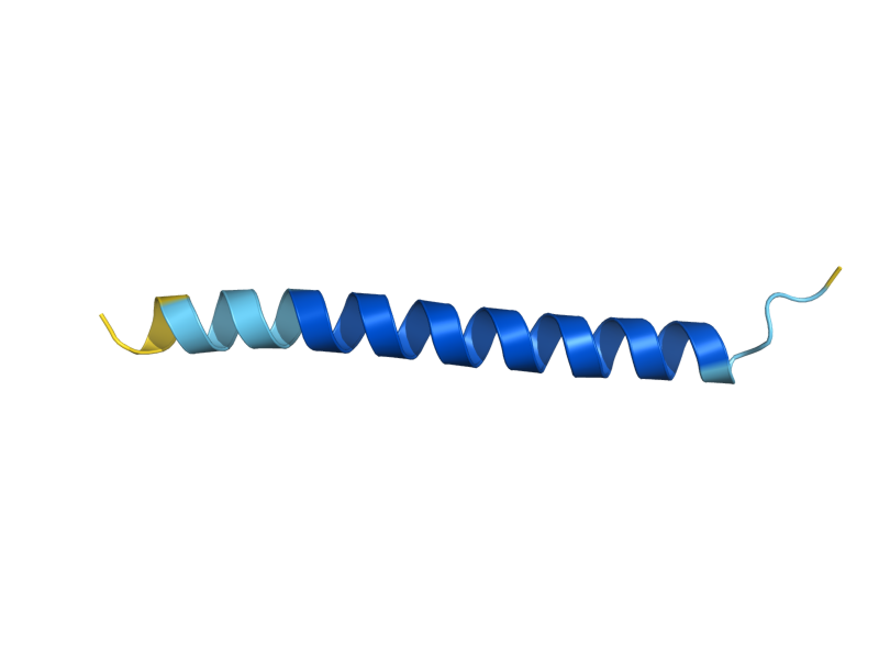 AlphaFold predicted structure of PMP1