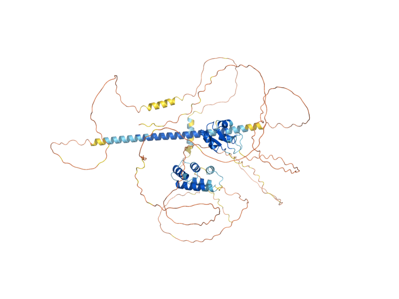 AlphaFold predicted structure of SMY2