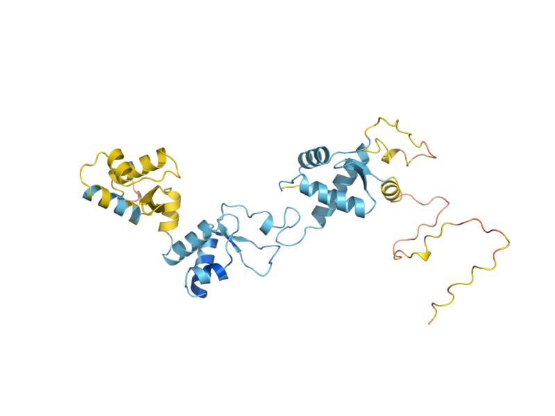 AlphaFold predicted structure of RPC34