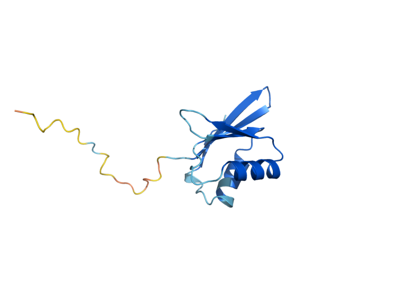 AlphaFold predicted structure of SUI1