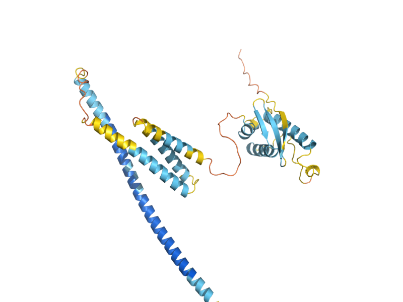 AlphaFold predicted structure of VAM7