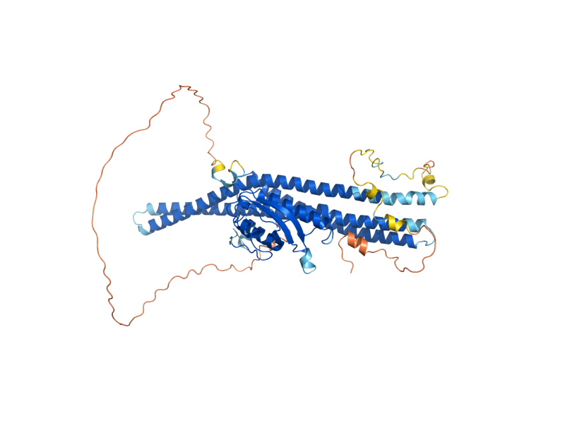 AlphaFold predicted structure of VPS17