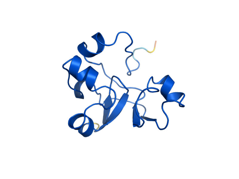 AlphaFold predicted structure of SPT4