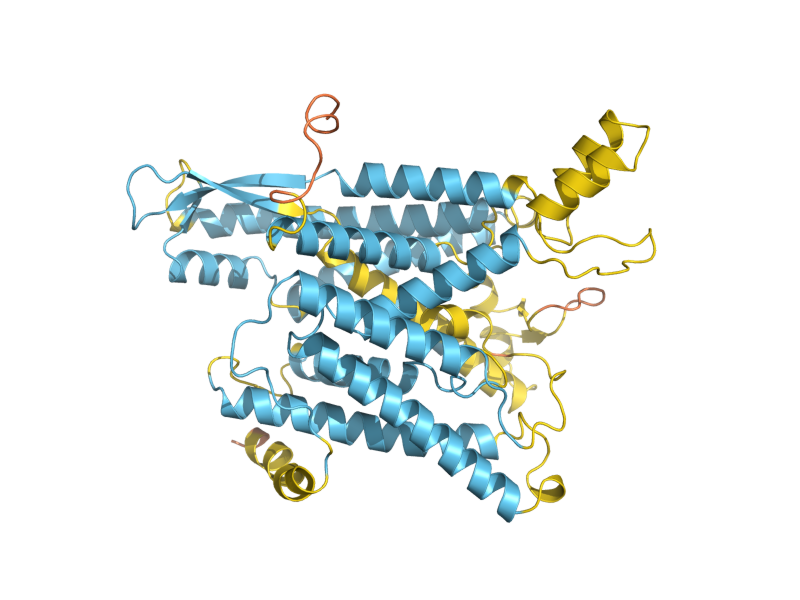 AlphaFold predicted structure of SEC61