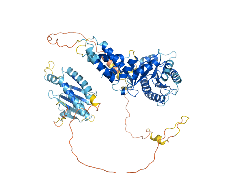 AlphaFold predicted structure of SRP101