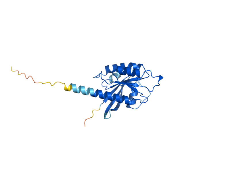 AlphaFold predicted structure of YPT7