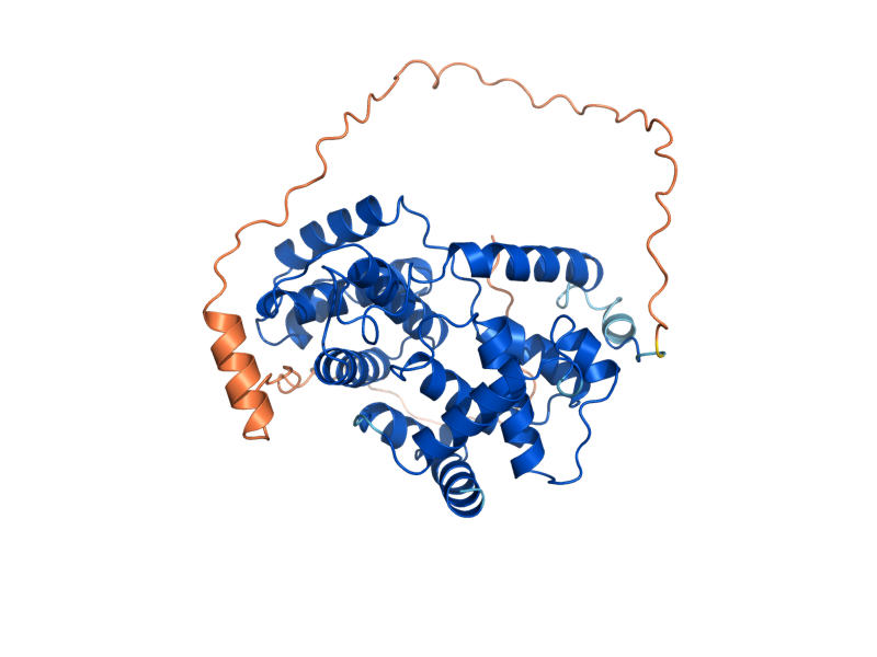 AlphaFold predicted structure of CLB6