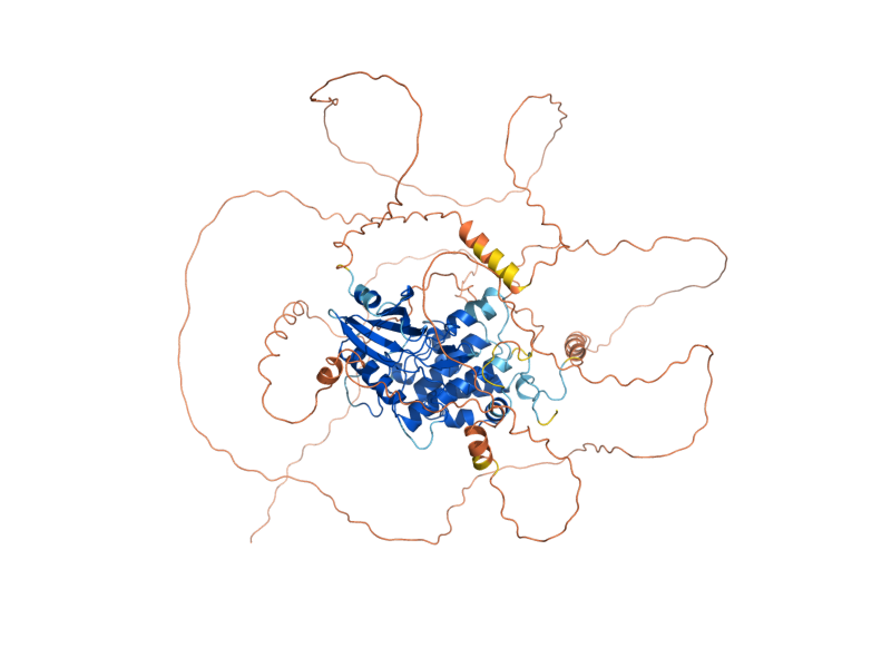 AlphaFold predicted structure of SWE1