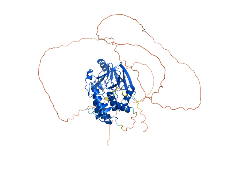 AlphaFold predicted structure of PPQ1