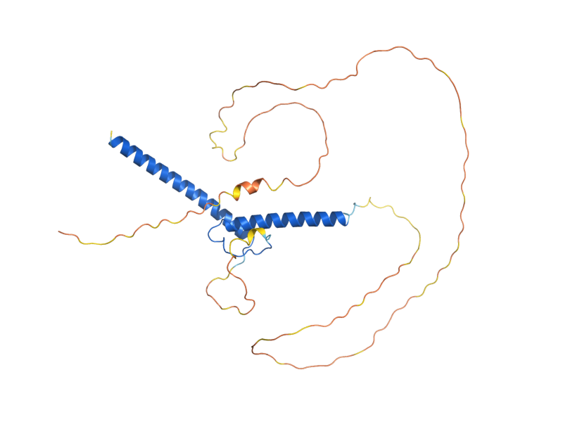 AlphaFold predicted structure of TYE7