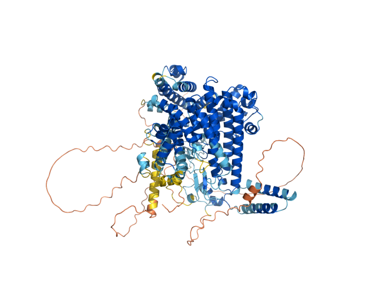 AlphaFold predicted structure of PDR3