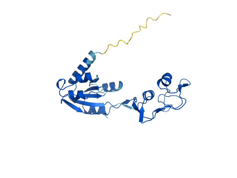 AlphaFold predicted structure of MRT4