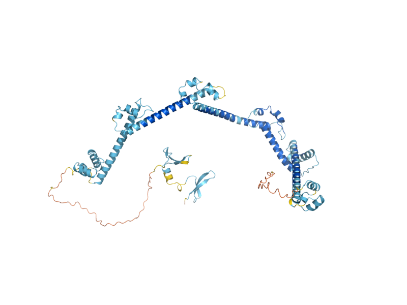 AlphaFold predicted structure of PRP40