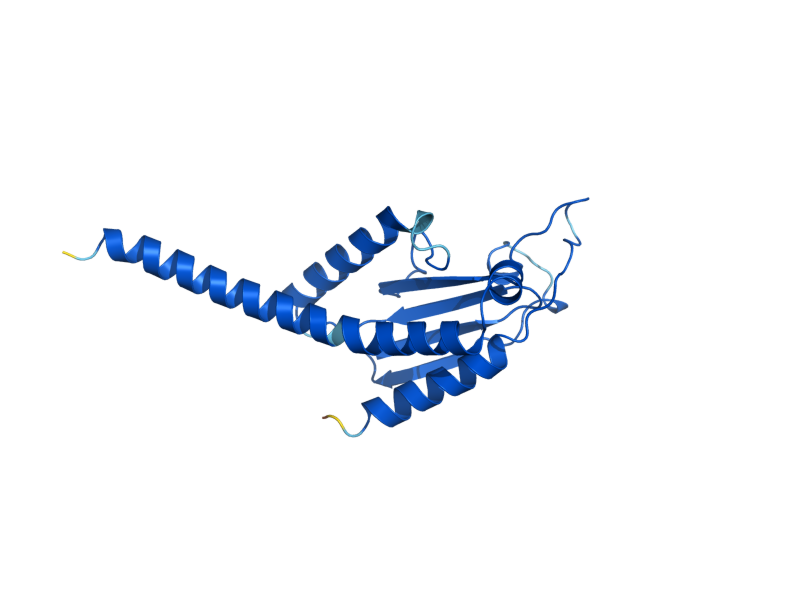 AlphaFold predicted structure of ARC19