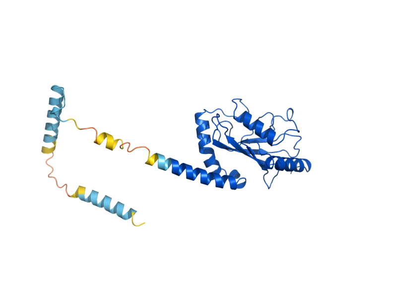 AlphaFold predicted structure of UBC6