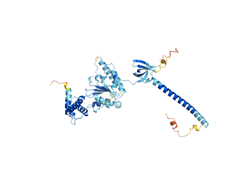 AlphaFold predicted structure of RPT5