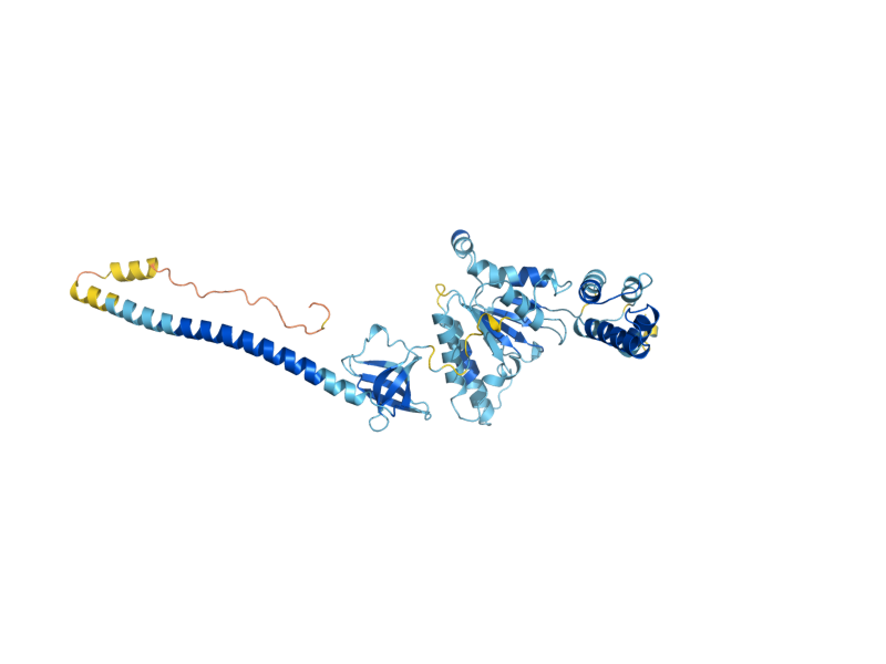 AlphaFold predicted structure of RPT3