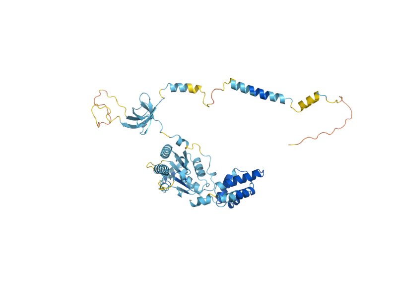 AlphaFold predicted structure of RPT1