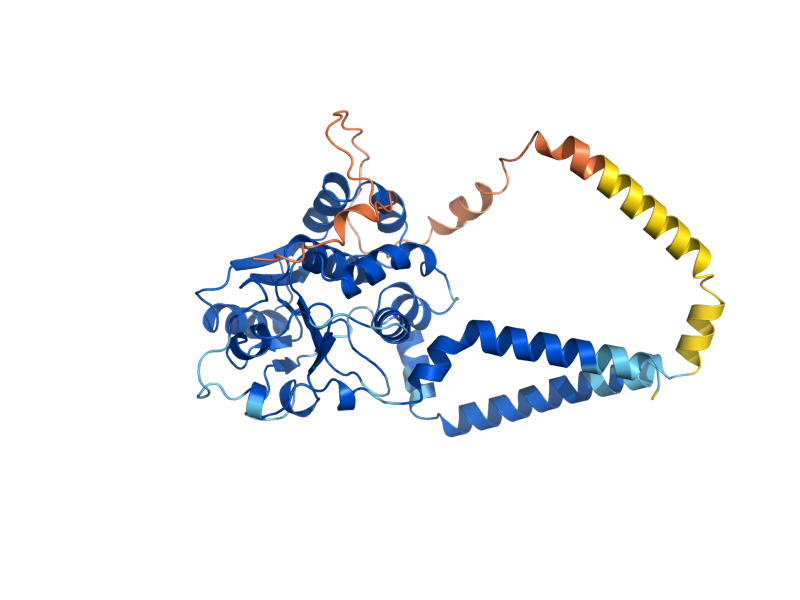 AlphaFold predicted structure of SUR1