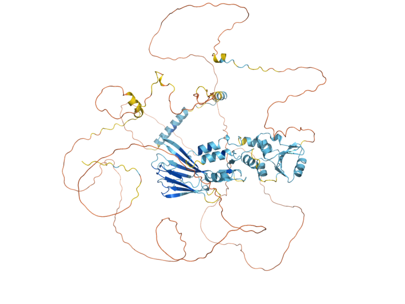 AlphaFold predicted structure of XRS2