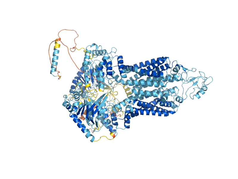 AlphaFold predicted structure of PDR5