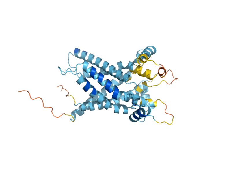 AlphaFold predicted structure of SFC1