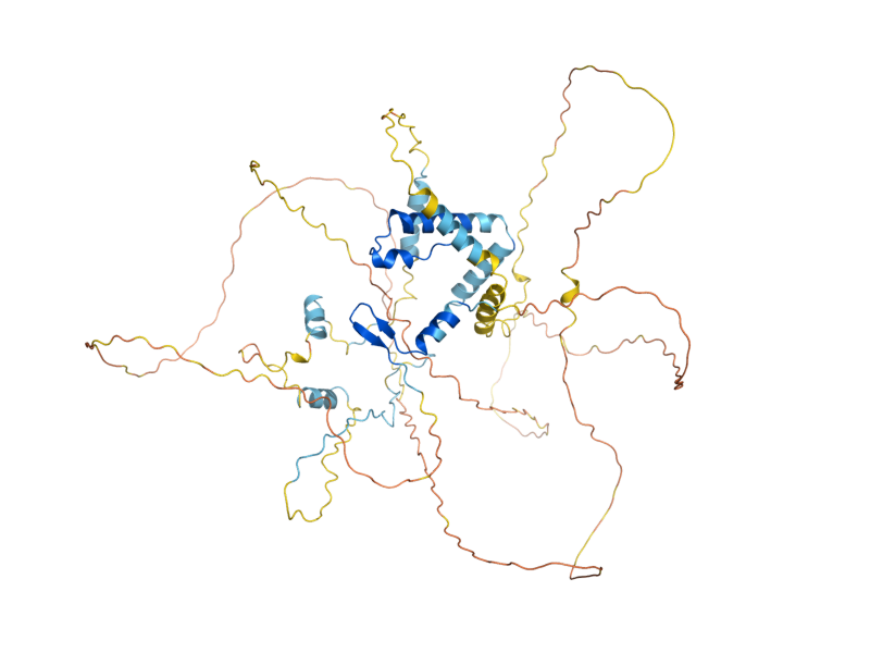 AlphaFold predicted structure of AFR1