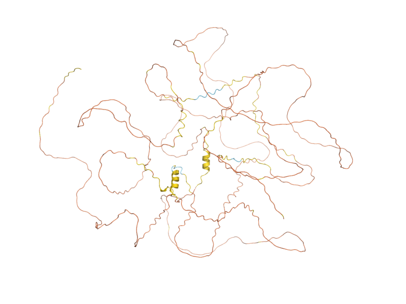 AlphaFold predicted structure of BCK2
