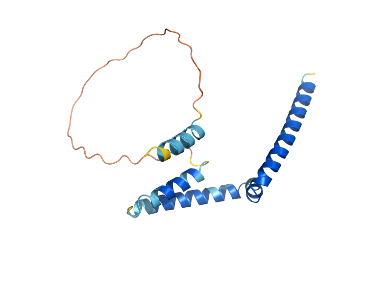 AlphaFold predicted structure of CSE2