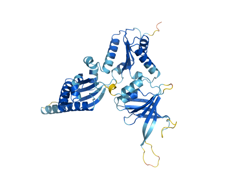 AlphaFold predicted structure of DOM34