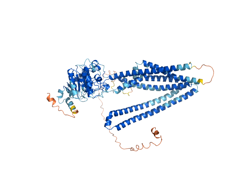 AlphaFold predicted structure of MDL1